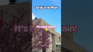 Spring Is Here?! 🌷☔ #mountstmarys #college #collegelife #unilife #university #spring