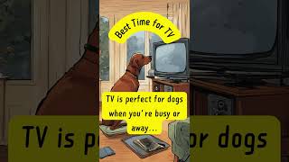 Best Time for TV | Dogs | Facts #shorts #viralvideo #shortvideo