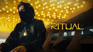 Alan Walker - Ritual ( Unofficial Music Video )