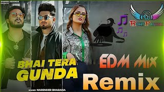 BHAI TERA GUNDA SE RE DJ ROHIT HAMIRPUR