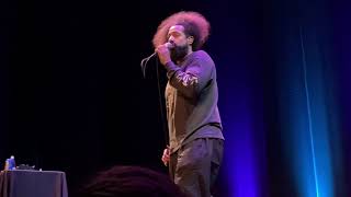 7 - Reggie Watts - The Last Song, Really - Boston - 2019 - Comedy Freestyle Beat-box Looping