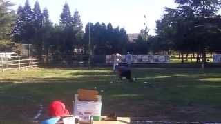 Wiffle ball field and king strikes out