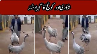 A deep relation between hunter & cranes is clearly visible || Crane Breeding