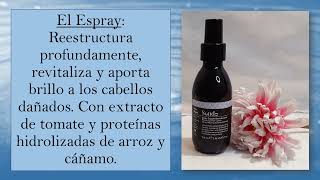 Línea reestructurante para el cabello de Sendo