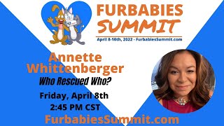 Using Rescue Animals To Overcome Stress & PTSD with Annette Whittenberger