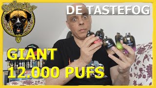 GIANT de TasteFog / 12.000 Pufs