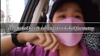 vlog | pemandangan indah | kokol kasih sayang | kokol farmstay | kota kinabalu sabah