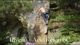 Rivelin - Acid Reign 6C