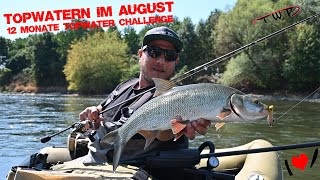 Topwatern im August - Driftfischen mit dem Belly Boot