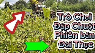 Trò chơi  đập chuột phiên bản đời thật