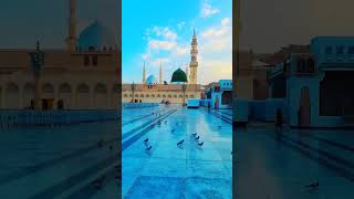 یا نبی سلام علیکَ یا رسول سلام علیکَ❤️❤️❤️❤️❤️ #ytshorts #love #youtube #shorts