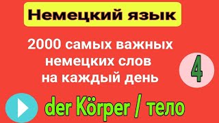 4- 2000 самых важных слов и выражений немецкого языка по темам ( der Körper / тело )