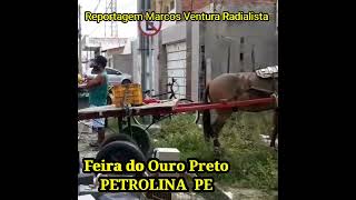 FEIRA DO TROCA EM PETROLINA  NO OURO PRETO