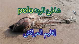 شاطئ الردة أو ما يعرف ب polo بين العرائش وأصيلة