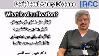 What is claudication what is rest pain Initial symptoms of peripheral Arterial Disease