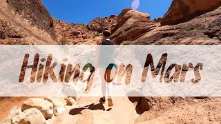 Your Guide to hiking in RED CLIFFS UTAH // Adventure is Here