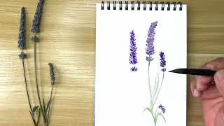 Painting lavender in watercolor- beginners friendly step by step