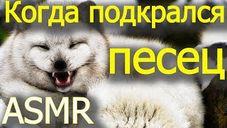 [ASMR] Велопоход к водопаду за полярным кругом. Воркута - Хальмер-Ю