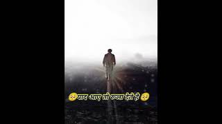 Shayri Status||Gaer To Sirf Hawa Dete Hai||#zarb#zakirkhan