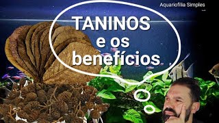 TANINOS e os Benefícios...