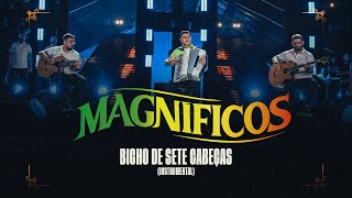 BICHO DE 7 CABEÇAS - Instrumental - Banda Magníficos (DVD A Preferida do Brasil)