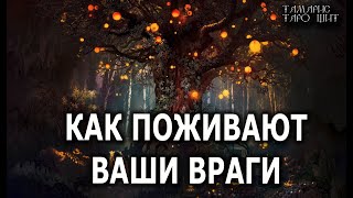 Как поживают ваши враги  🔥 расклад гадание таро