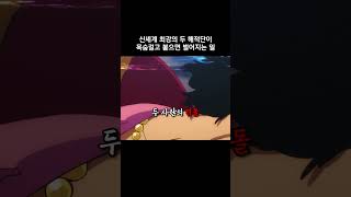 신세계 최강의 두 해적단이 목숨걸고 붙으면 벌어지는 일 #원피스