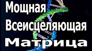 Попробуйте послушать в течение 15 минут, сразу подействует ☀️ Мощная Всеисцеляющая Матрица Гаряева