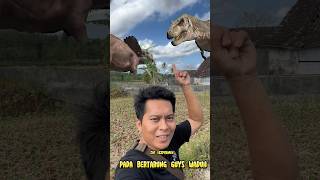 Lihat Dinosaurus Trex VS Triceratops