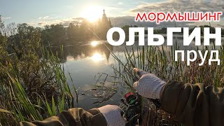 Мормышинг: Ольгин пруд | Рыбалка Ранним Утром #мормышинг #рыбалка #стритфишинг #nanojig #пруд