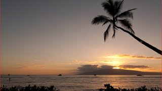 Visiting Lahaina,  West Maui, Maui County, Hawaii, United States