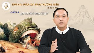 Lời Chúa - Thứ Hai Tuần XVI Mùa Thường Niên 22/07/2024