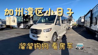 Arielzshell SF Bay Area Vlog - 看房车，湾区好吃的 😋