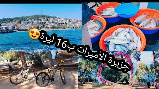 جزيرة الأميرات (Kızıl Adalar) أروع جزيرة في تركيا وبسعر خيالي 🥰🥰