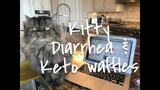 Kitty Diarrhea & Keto Waffle Recipe