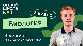 Зоология – наука о животных. Видеоурок 1. Биология 7 класс