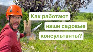 Как работают наши садовые консультанты?