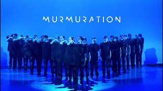 Teaser du spectacle MURMURATION by Sadeck Berrabah