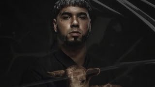 Anuel AA - Bichote [ Audio Oficial ] IA