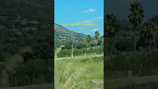 this is what summer feels like #shortvideo #shortstory #summer #spain #happy