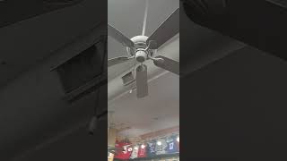 droopy ceiling fans at clothing store) in L•A