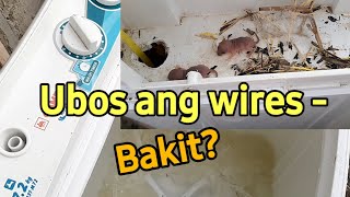 Ubos ang wires ng Washing Machine