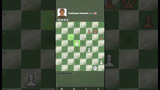 Professor Passant new chess bot