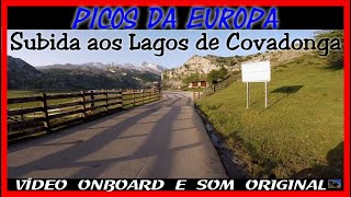 #19 -Tracer 900GT -Subida aos Lagos de Covadonga/Road to Covadonga Lakes