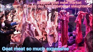 Goat and sheep meat market in China  | goat meat most expensive in china | goat & sheep farming