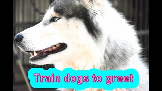 سلام الكلاب Train dogs to greet