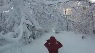 MN Winter 2014 Snowshoeing with the Poodle by  onza04