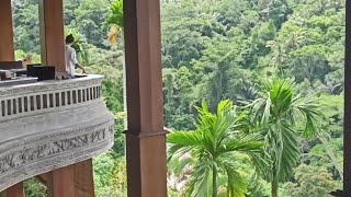 Vlog 6 Holy Spring Pita Maha Ubud Bali