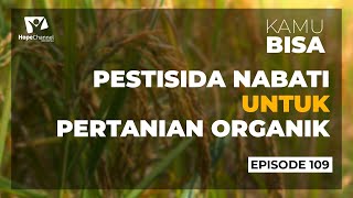 TIPS MEMBUAT PESTISIDA NABATI UNTUK PERTANIAN ORGANIK