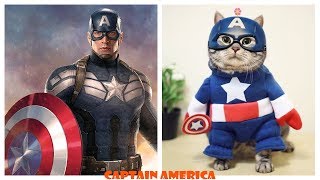 Famous Characters in Real Life Cats